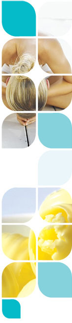 Ponme Alt y Title